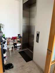 Skyline Residences (D4), Condominium #543939011